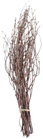 Cabilock 10piezas Simulación De Ramas Secas Ramas De Abedul Natural De Palitos De Madera para Decoración del Hogar para Adornos Hogar y Accesorios De Fotografía Interiores