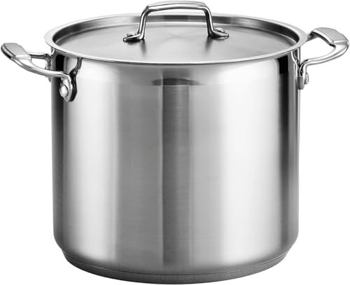 Stainless Steel Stock Pot with Stainless Steel Lids- Deep Two Tone Silver Pot, Induction Base (22 cm Diameter - 6.5 Litre)