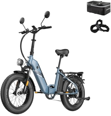 Fafrees FF20 Polar Fatbike - Bicicleta eléctrica para hombre y mujer, bicicleta plegable de 20 pulgadas, batería de 48 V, 12 Ah, motor de 65 Nm, capacidad de carga de 150 kg, alcance de 170 km (bolsa