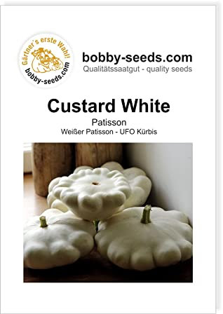 Bobby-Seeds Kürbissamen Custard White Portion