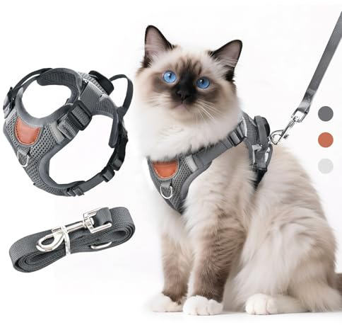 LUOJINYI Verstellbares Katzengeschirr mit Leine Ausbruchsicher, Katze Brustgeschirr mit Reflektierend Streifen & Atmungsaktiv Netzgewebe, Softgeschirr für Katzen Kätzchen Welpen (Dunkelgrau, S)