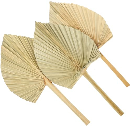 Healeved 3 Hojas de Palma Seca Decorativa Natural, Abanicos de Palma para Decoración de Bodas, Fiestas y Hogar, Suministros para Arte y Adornos de Escena Festiva