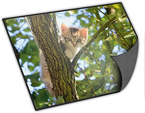 itenga Schreibtischunterlage mit Tiermotiv abwischbar rutschfest glatt 40x53cm Kunststoff Schreibunterlage (Motiv Katze)