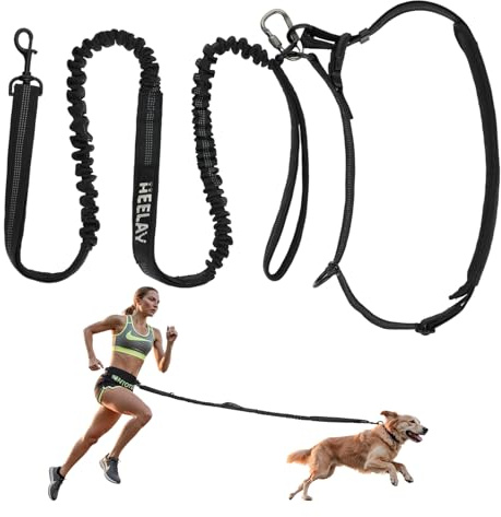 Heelay Guinzaglio da jogging per cani, cintura regolabile e guinzaglio elastico, guinzaglio da jogging 2 in 1 e taglia grande e media con doppia maniglia | Guinzaglio per cani con cintura addominale