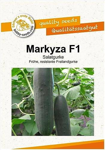 Gurkensamen Markyza F1 Salatgurke Portion
