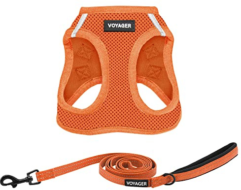 Voyager Step-in-Air-Katzengeschirr – Allwetter-Netzgewebe für kleine und mittelgroße Katzen von Best Pet Supplies – Set, Orange, XXXS