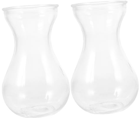 POPETPOP Vase en Verre Transparent Vase Hydroponique Simple Récipient à Fleurs Décoration Intérieure Pot de Jacinthe pour Bureau et Maison Lot de 2