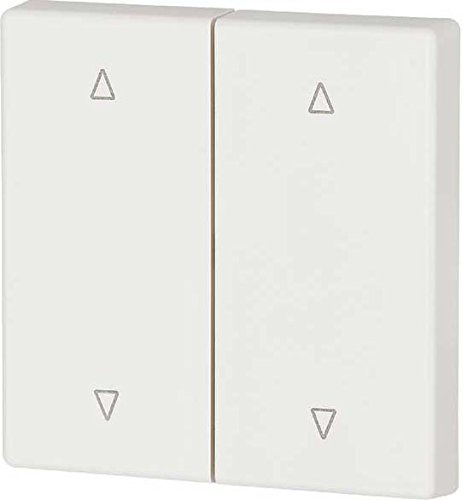 Eaton xComfort Funk Wippe, 2-fach Pfeil, 55 x 55 mm, reinweiß matt, CWIZ-02/21 (147617)