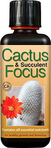 Engrais concentré Liquide Cactus and Succulent Focus 300 ML
