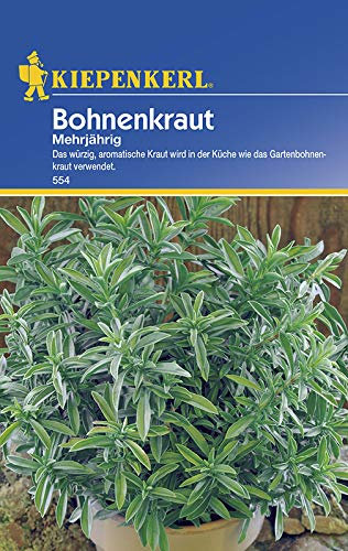 Kräutersamen - Bohnenkraut Mehrjährig von Kiepenkerl