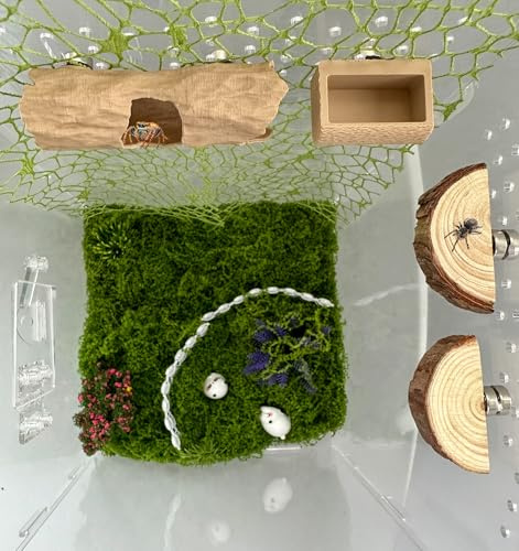 6Pcs Jumping Spider Accessories Set,Tree Jumping Spider Climbing Toy with Cave, Jumping Spider Feeder,2 Wooden Platforms and 2 Green Moss Ribbons,Small Reptile Enclosure Decoration Accessories