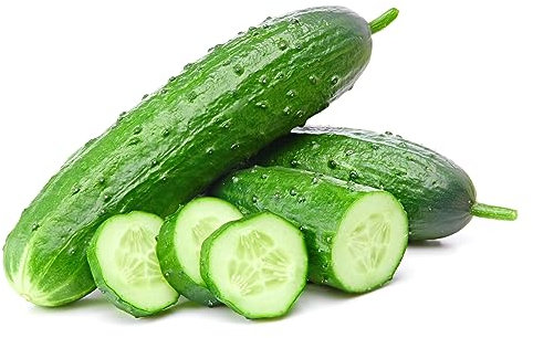 BIO Saatgut Gurke Portugal 25 x Samen | Prademir | 100& Natursamen mit sehr hoher Keimrate…