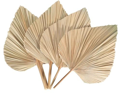 JANZU 4Pcs Dried Palm Leaves Dried Palm Fans Bohemian Dried Palm Spears Artificial Plants Palm Leaves Tropical Palm Leaves