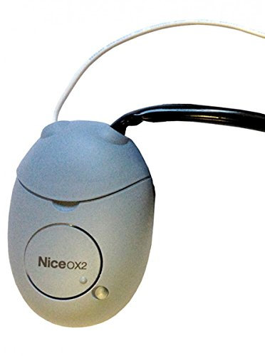 Ricevitore Nice OX2 2 canali – Nice