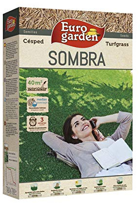Eurogarden - Sobre de Semillas de Césped Sombra, 1 kg - 4454