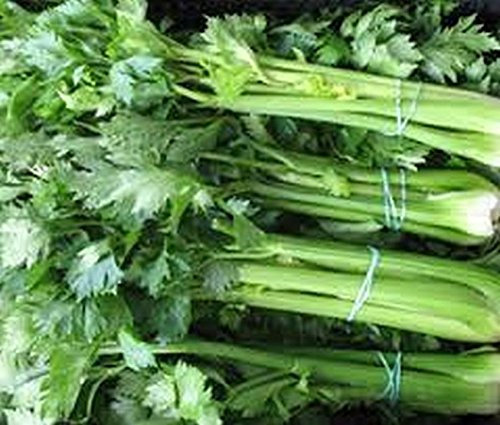 Graines de céleri de grande taille de l'Utah