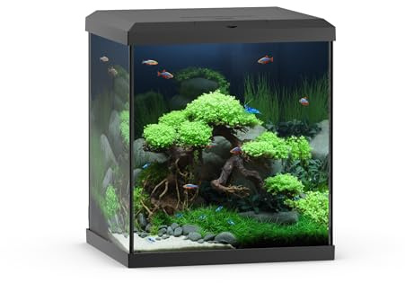 JUWEL Aquarium VIO Cube 54 - Acquario da 54 l, con illuminazione a LED e sistema di filtraggio, 41 x 36 x 47 cm, colore: Nero