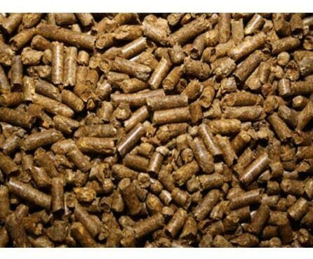 Herbifloor Reptile Terrarium Substrate - Biodegradable Grass Pallet Bedding for Tortoise - 20kg BULK BAG