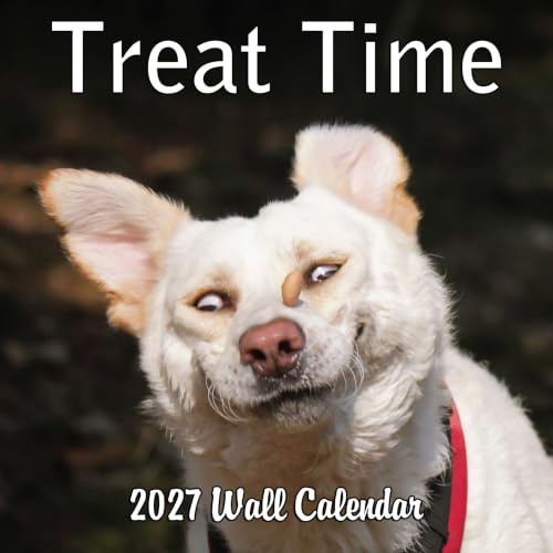 2027 Treat Time Monthly Wall Calendar | Funny Dogs Calendar September 2026 - December 2027