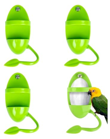 XinYangMao 4 Supporti per Ossa di Seppia con Base | Porta Ossa di Seppia Portatile per Pappagalli, Canarini e Uccelli Esotici | per Servire Frutta, Verdura e Snack