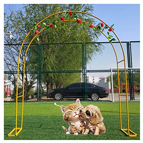 Arche de jardin en métal pour plantes grimpantes, décoration de mariage, tonnelle de rose résistante aux intempéries avec large arborway pour diverses plantes grimpantes