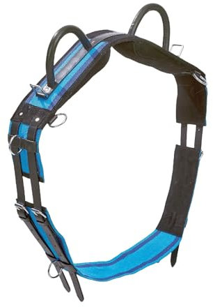 Busse Longiergurt Double, Shetty, Navy/Sky Blue