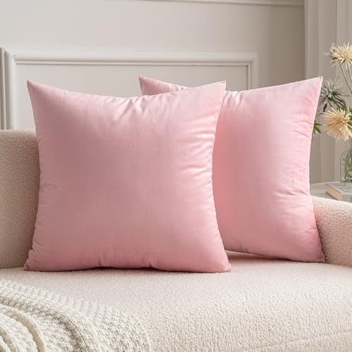 MIULEE 2er Pack Samt Kissenbezug Kissenhülle Dekorative Kissenbezug Dekokissen Sofakissen Lendenkissen Wurfkissenbezug Kissenhülle 45x45 cm Sakura Rosa