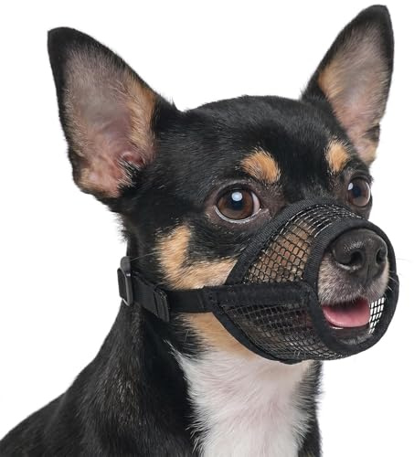 Bozal para perros, transpirable y cómodo, bozal para perros pequeños para chihuahuas para evitar mordeduras de muzzle Mascarilla adecuada para perros pequeños con una circunferencia de hocico de 12-15