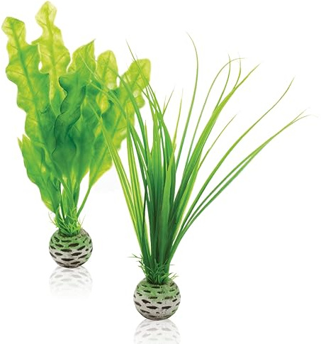 biOrb Jeu de plantes S en vert