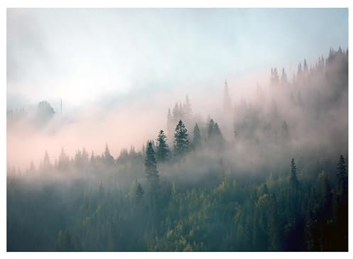 WallArena - Vlies Fototapete Wald Nebel Landschaft 400x280 cm - Fototapeten - Tapeten - für Wohnzimmer Schlafzimmer - Vliestapete Wandtapete Tapete 3D Effekt- inkl. Kleister - Berge Gebirge