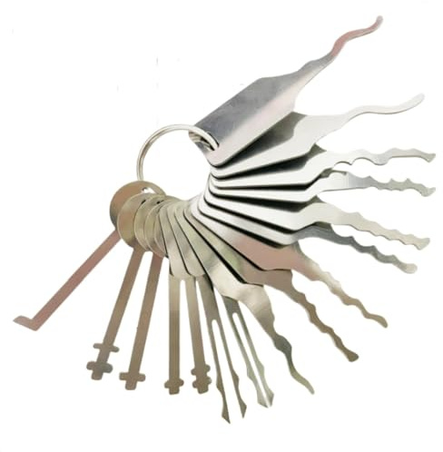 SANHOOII Kit d'outils d'ouverture de porte - Outil pour débutants et professionnels, outil de réparation de crochetage, convient pour serrures de voiture électriques, armoires de classement, disques