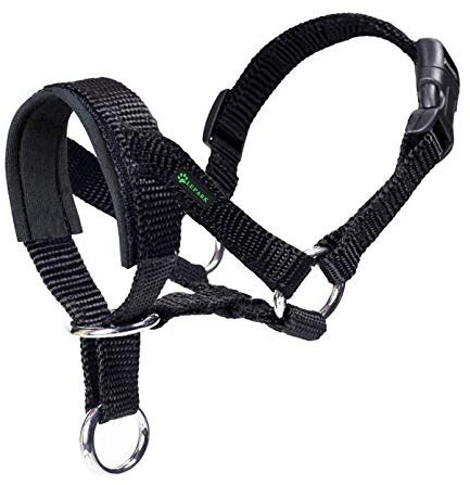 Hundehalfter Mit Gepolstertem Stoff, Halfterhalsband Für Hunde, Verstellbar Und Ziehen verhindert. (S,Schwarz)