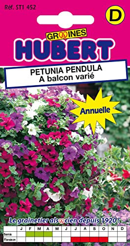 Graines de Pétunia Pendula à Balcon Varié - 0,2 grammes