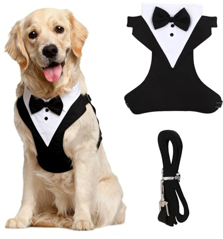 Costume Formel pour Grand Chien Taille XL (10-23kg), Chemise Noire Respirante avec Nœud Papillon et Gilet, Laisse Amovible, Vêtements Élégants pour Mariage et Anniversaire