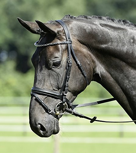 BUSSE solibel Trense SINGLE-SOFT, schwarz/Kette-Rechteck, Pony