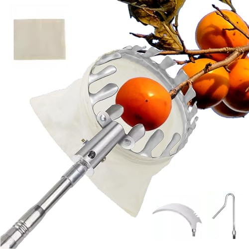 Recogedor de Frutos Secos Actualizaciones Telescopico Extensible, 2- 7M Dientes de Calibre de Metal, Poste de ConexióN de Acero Inoxidable Ligero, Gran Capacidad de Carga ( Color : A , Size : 6m(19.6f