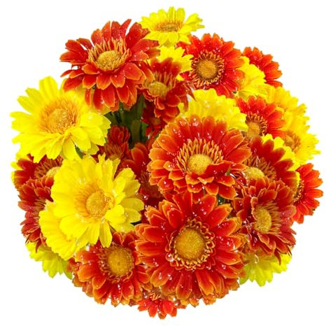 SNAIL GARDEN 30 Heads Artificial Gerbera Daisies with Dewdrop, 2 Colors Silk Daisy Flowers That Look Real with 3 shaped of Leaves, Fake flowers that Sparkle in the Sunlight for Home Office Wedding