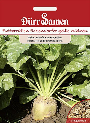 Dürr-Samen - Futterrüben Eckendorfer gelbe Walzen Saatgut