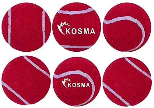 Pack of 6 Tennis Balls | Training Ball for Dogs, Super Bounce, Perfect for Begginer Cricket Training Practice | Cricket Ball (With carrying bag - Red)