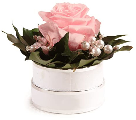 Infinity Rosenbox Kristall und Perlen 1 echte Rose haltbar Mama Geschenk Muttertag (Rosa)