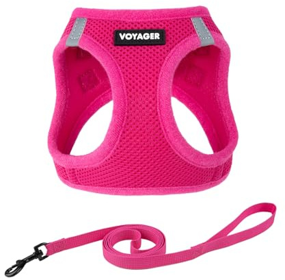 Voyager Step-in Pet Harness - All Weather Mesh, Adjustable Step in Harness for Cats and Dogs by Best Pet Supplies - 307S Fuchsia, M