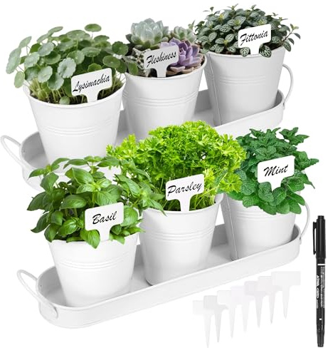 Wacloud Kit di fioriere da giardino per erbe aromatiche, 6 vasi in metallo con 2 vassoi per davanzale e bancone della cucina, vasi decorativi moderni per interni, per erbe, piante grasse e piccole