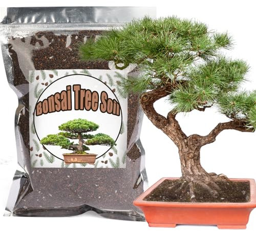 Bonsai Soil Mix 2L Ready to Use, Organic Bonsai Tree Soil Fits for Small Bonsai Pot, Suitable for Bonsai Seedling, Repotting, or Bonsai Starter Kit