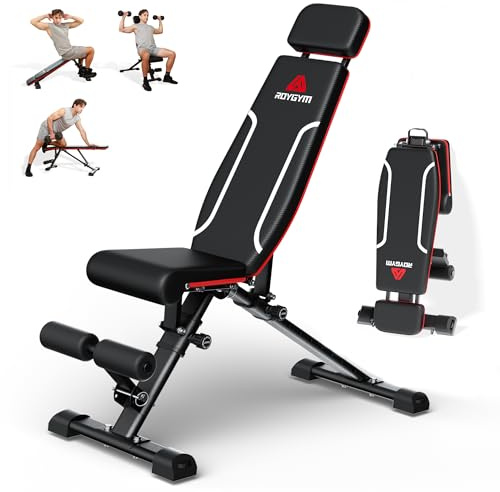 Roygym Panca Palestra Multifunzione, Panca Regolabile Panca Pesi con schienale regolabile in 11 posizioni, cuscino regolabile in 3 posizioni, Panca Pesi Pieghevole da 400KG