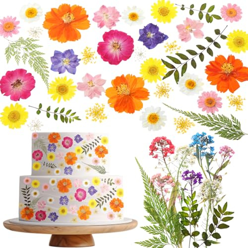 Celblisora 96 pièces 8 Types de Fleurs séchées, pressées et comestibles pour décorer Les gâteaux – Mélange de Viola Multicolore pour Cocktails, Arts créatifs DIY