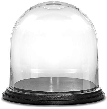 CYS EXCEL Glass Cloche Dome with Black Wood Base (H:11 D:11) | Multiple Size Choices Decorative Showcase Display for Antique Collectibles | Bell Jar Terrarium & Dessert Cover