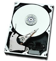 Fujitsu S26361-F4482-L145 HardDisk