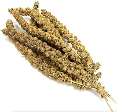 Millet Sprays 1kg Premium Cage Bird Food Seed