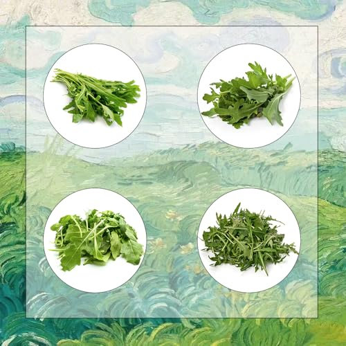 rucola samen winterhart - rucola pflanzen frisch samen, gartenkräuter samen, exotische zimmerpflanzen rucolasamen bio mehrjährig, winterharte pflanzen für garten, gemüsesamen & 80pcs