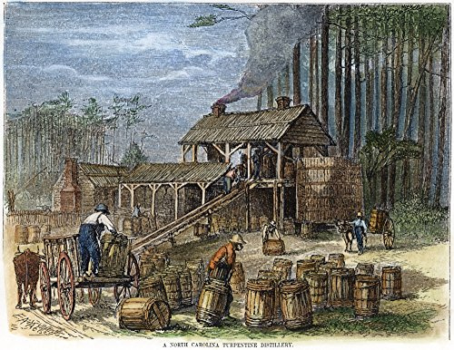 Turpentine Distillery Nafrican Americans Working In A Turpentine Distillery In The Pine Woods Of North Carolina Wood Engraving American Mid-19Th Century Poster Print by (18 x 24)